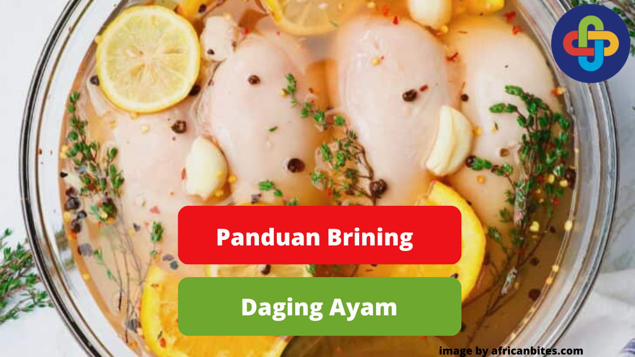 Berikut Ini Panduan Brining Daging Ayam Broiler